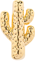 kaktus